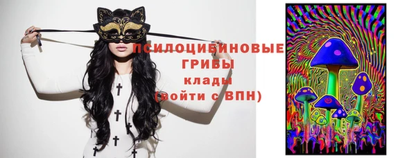 прущая мука Новозыбков