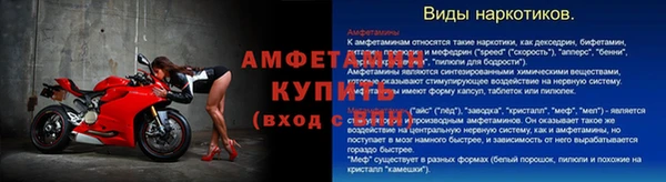 прущие грибы Нязепетровск