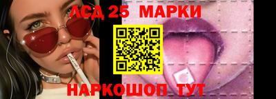 гидропоника Дубна