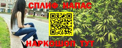 гидропоника Дубна