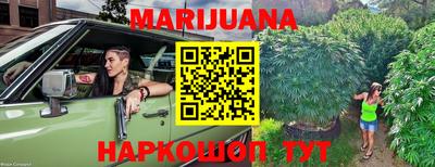 гидропоника Дубна