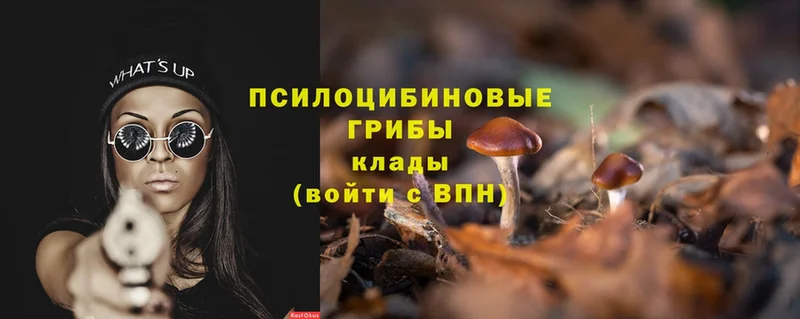 что такое наркотик  Лосино-Петровский  Псилоцибиновые грибы Magic Shrooms 