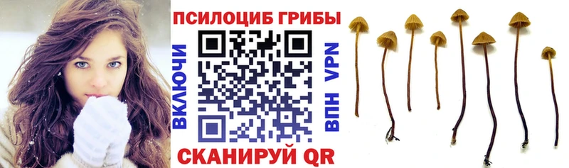 мега зеркало Лосино-Петровский Галлюциногенные грибы Magic Shrooms